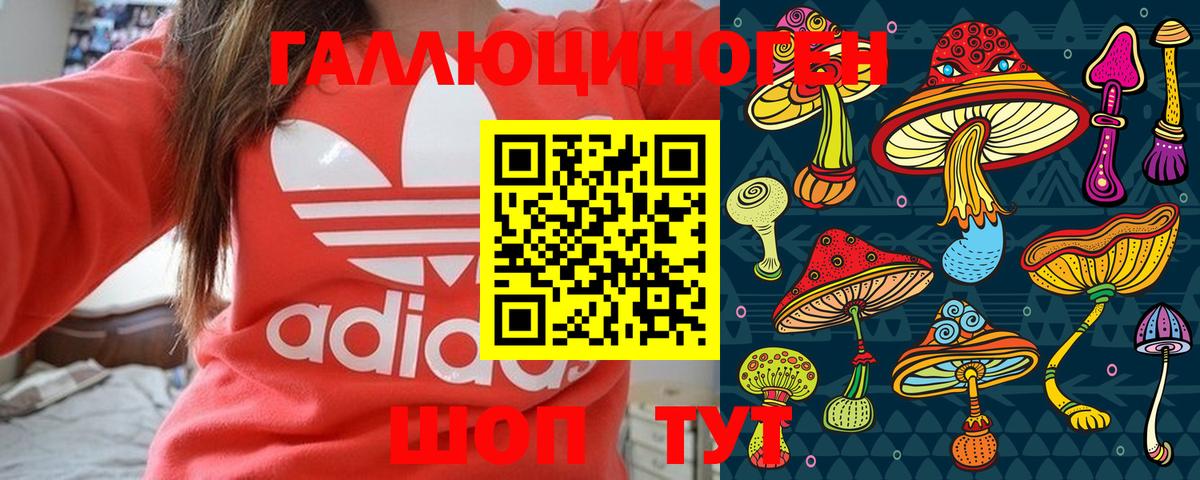 Псилоцибиновые грибы GOLDEN TEACHER Ессентуки