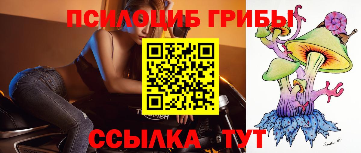 Галлюциногенные грибы Cubensis  Псилоцибиновые грибы Cubensis  Вход с VPN  Ессентуки 